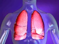 Пневмония / Пульмонология /
Диагностика и лечение заболеваний дыхательной системы